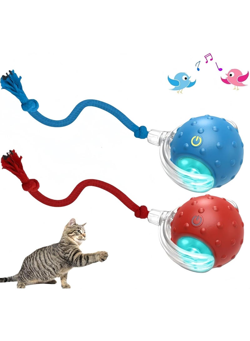 Cat toy ball with bird chirping sound, dog toy ball, mobile cat ball with elastic net tail, automatic kitten toy for boring indoor adult cats - Image 1